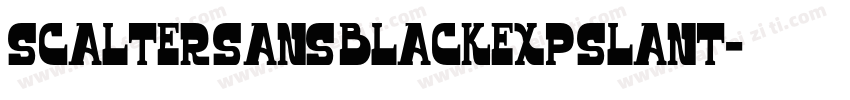 Scalter Sans BlackExp Slant字体转换